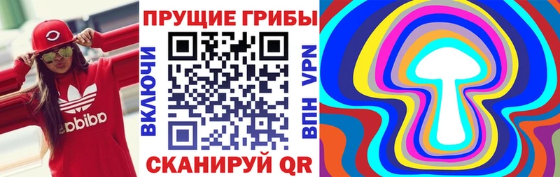 закладки  Алдан  KRAKEN сайт  Псилоцибиновые грибы Magic Shrooms 